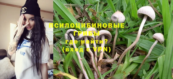 мдпв Покровск