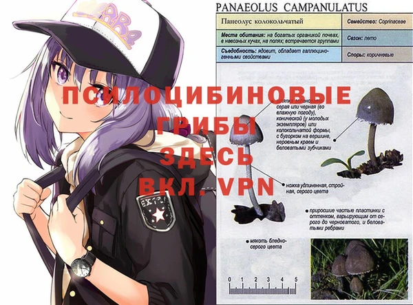 героин Приозерск