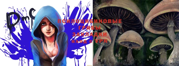 ешки Покров