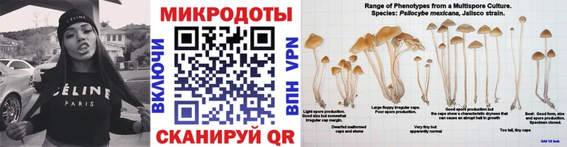 Купить где Уржум Галлюциногенные грибы GOLDEN TEACHER